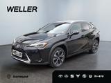 Lexus UX 250h Style Edition *Bi-LED*ACC*CAM*SHZ*CarPla - Lexus UX Gebrauchtwagen