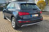 Audi Q5 2.0 TDI 140kW S tronic quattro - - Audi Q5 Gebrauchtwagen in Braunschweig