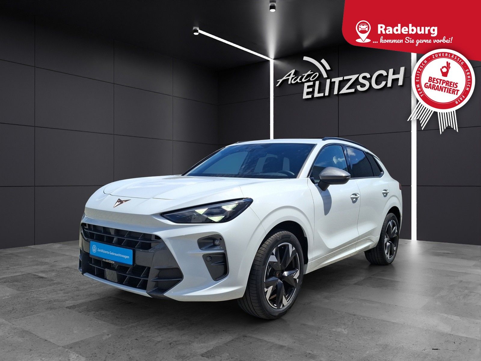 Fahrzeugabbildung CUPRA Terramar eTSI Matrix Navi HUD ACC RFK SHZ 19"