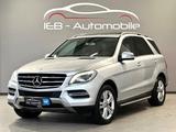 Mercedes-Benz ML 350 CDI BT/Sport/7G/Standhzg./Kamera/AHK/19" - Mercedes-Benz ML 350 in Hannover