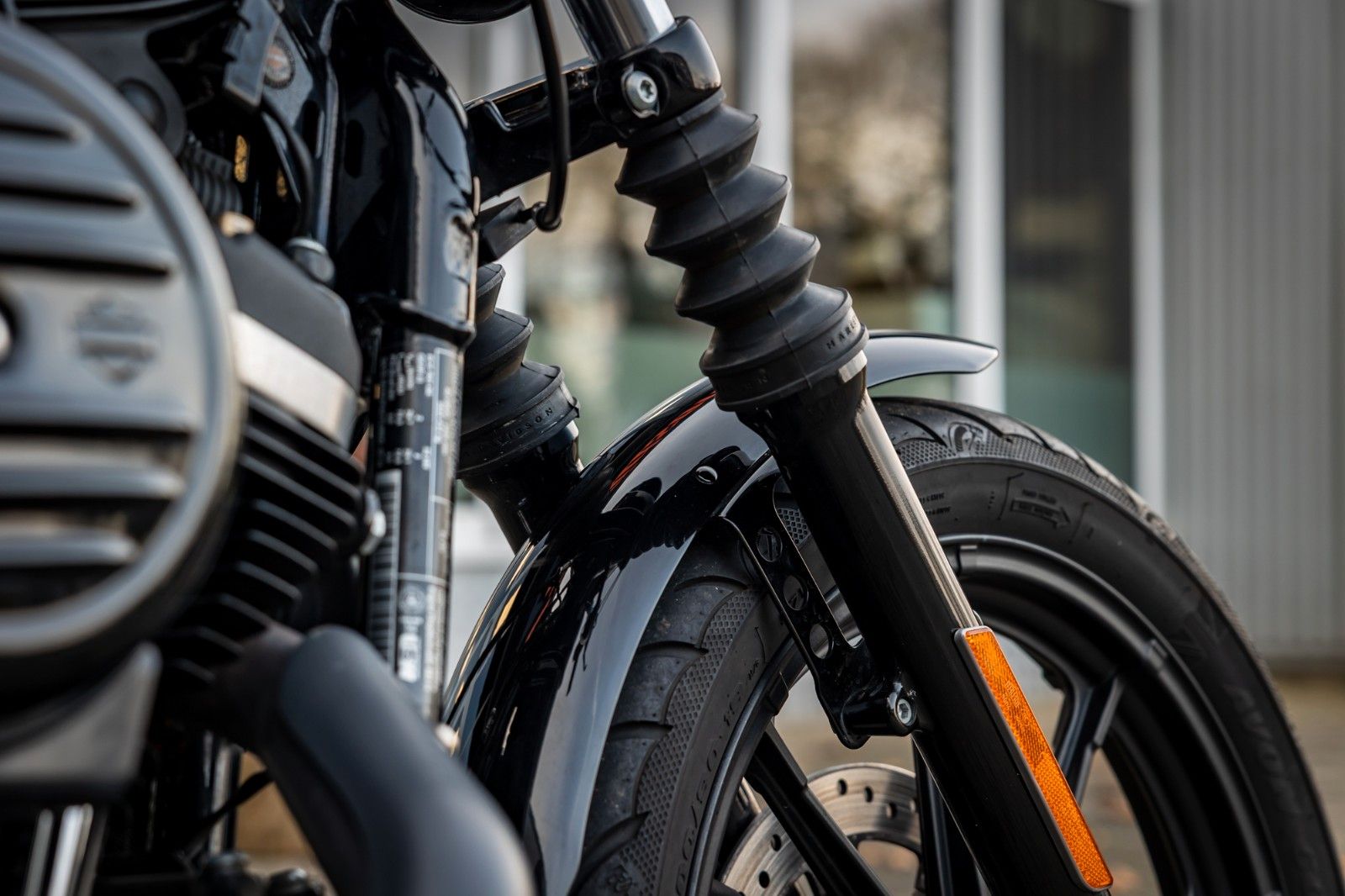 Fahrzeugabbildung Harley-Davidson XL883N - Iron 883 Auspuff - Kesstech - Ape