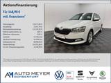 Skoda Fabia 1.0 TSI Cool Plus Shz Bluetooth PDC hi.