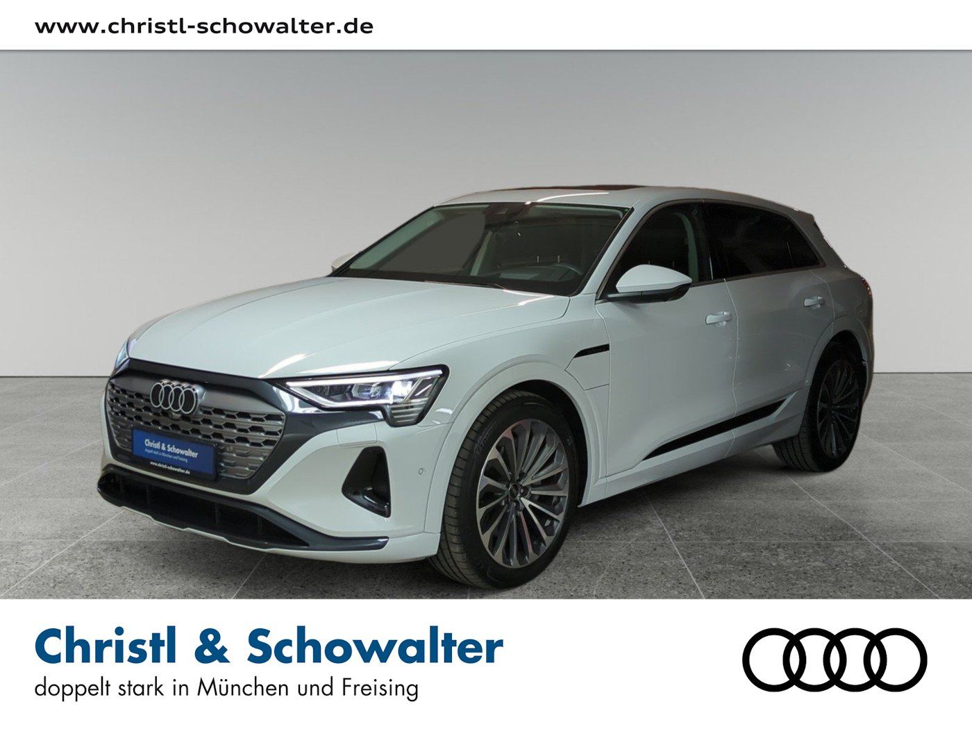Audi Audi Q8 55 e-tron advanced MATRIX NAVI PANO KLIMA