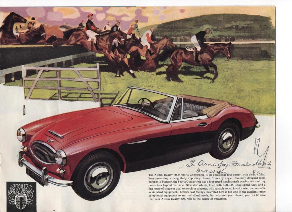 Austin Healey Andere