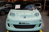 Aixam e-MinAuto Chic Perlmuttjadegrün - Aixam Gebrauchtwagen München
