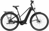 Pegasus Estremo EVO 12 Lite M - Pegasus E-Bikes
