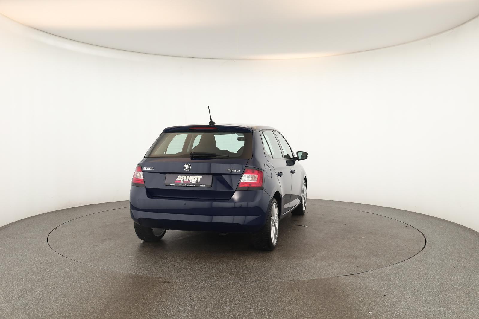 Skoda Fabia 1.0 TSI DSG Style Klima DAB SHZ ACC PDC 17