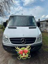 Mercedes-Benz Sprinter Mercedes, Benz 2012 147.000 - Mercedes-Benz Sprinter: 14
