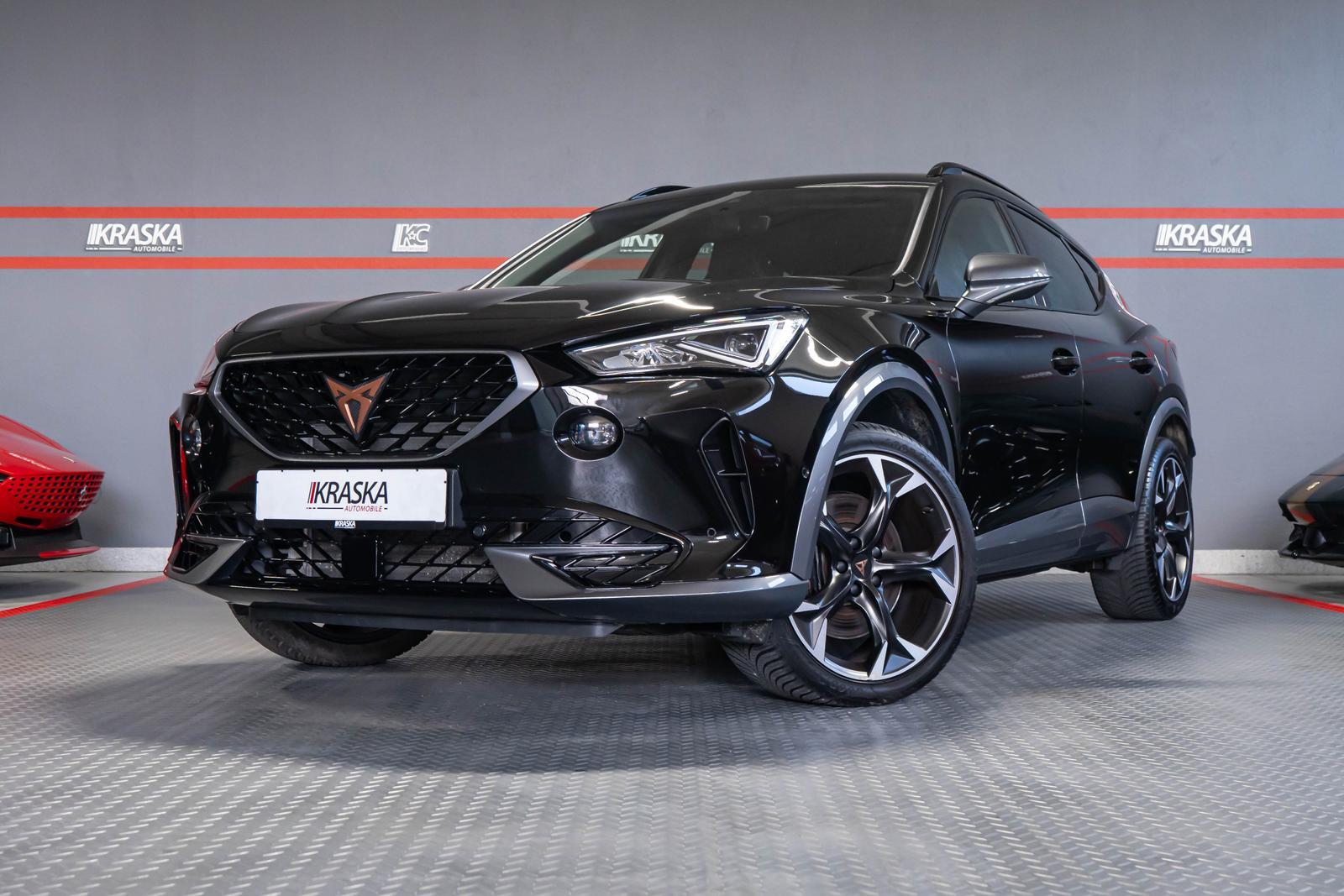 Cupra Formentor 2.0 TSI VZ 4D AHK SHZ RFK BEATS DCC