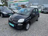 Fiat Panda Pop *Klima*E Fenster* - gebrauchte Fiat Panda aus dem Jahr 2015