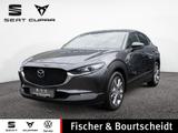 Mazda CX-30 2.0 Selection 2WD NAVI 360° BOSE LEDER LED - Mazda CX-30 Gebrauchtwagen in Köln