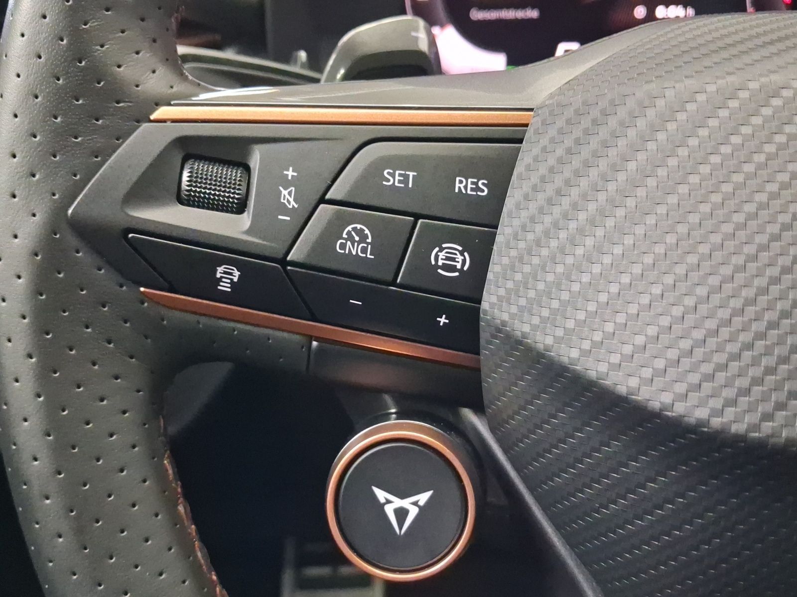 Cupra Terramar - Bild 18