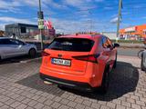 Lexus NX 300h E-FOUR F SPORT *AHK* *WKR* - Lexus: Nx