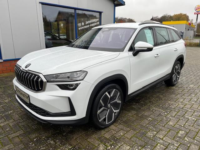 Skoda Kodiaq 2.0 TDI DSG 4x4 Selection Leder Standhzg