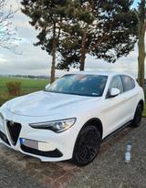 Alfa Romeo Stelvio 2.2 Diesel 16V 154kW Super AT8-Q4 Super - Alfa Romeo: 154