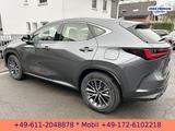 Lexus NX 350h E-Four Business*NAVI*BI-LED*CarPlay* - Lexus NX Business