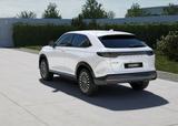 Honda e:Ny1 Basis Sofort verfügbar|BlackPaket - Honda e:Ny1 Neuwagen
