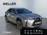 Lexus UX 250h Style Edition *Bi-LED*ACC*CAM*SHZ*CarPla - silberne Lexus UX