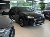 Lexus UX 250h Style Edition *Bi-LED*ACC*CAM*SHZ*CarPla - Lexus UX Gebrauchtwagen