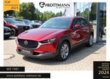 Mazda CX-30 150ps Aut. Exclusive DESI-DASO-P/BOSE/360° - Mazda CX-30 aus 2023