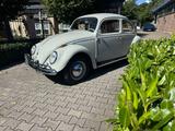 Volkswagen Käfer 1200 Export aus Erstbesitz 42 jahre abgeme - Volkswagen aus 1960