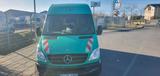 Mercedes-Benz Sprinter 313 Cdi Erstehand - Mercedes-Benz Sprinter aus 2008: 313 Cdi