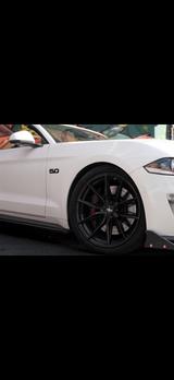 Ford Mustang 5.0 Ti-VCT V8 GT GT - Ford Mustang Gebrauchtwagen in Frankfurt