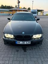 BMW E39 530d M Packet Schalter Liebhaber F... - BMW 530: Kombi, 530d E39