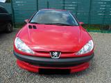 Peugeot 206 Petit Filou - Peugeot 206: Rot
