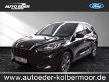 Ford KugaPlugInHybridSTLineleichterHagel Sportpaket