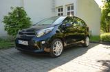Kia Picanto 1.0 Edition *TÜV 03/27 - Kia Picanto in Kassel