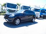 Mercedes-Benz ML 350 ML ML 350 CDI BlueTec - Mercedes-Benz ML 350 in Saarbrücken