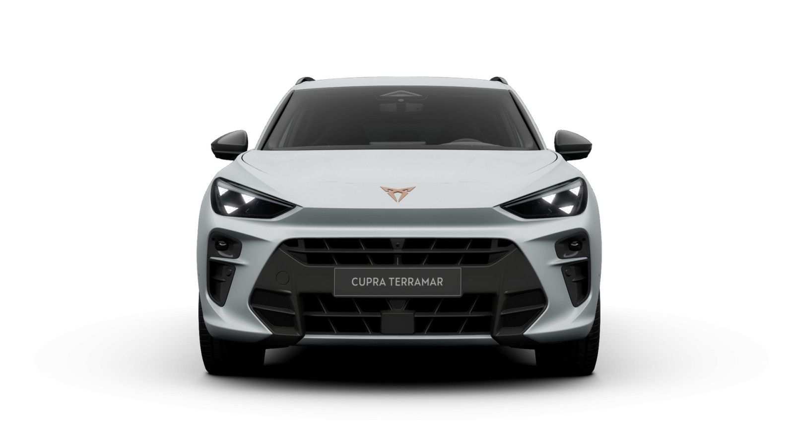Cupra Terramar 1.5 e-Hybrid VZ imagem 3