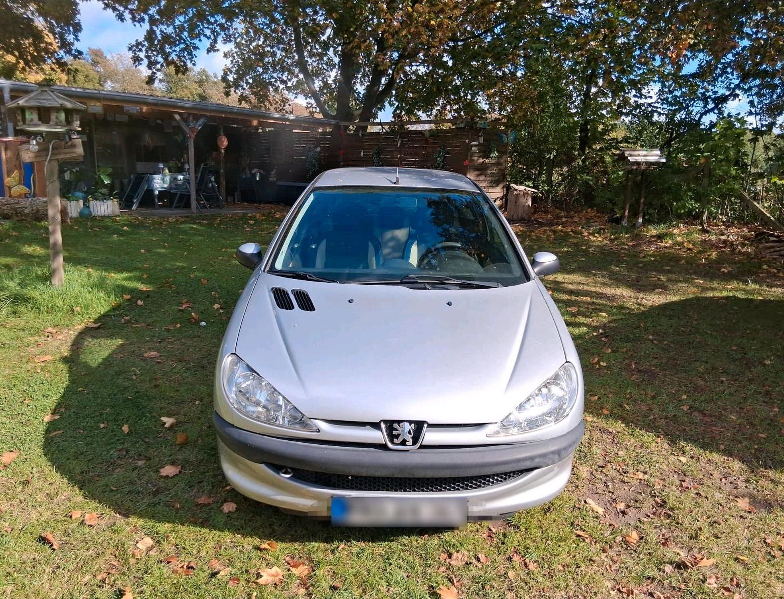 Peugeot 206