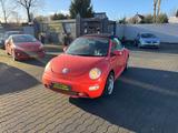 Volkswagen New Beetle Cabriolet 1.6 Klima Leder - Volkswagen New Beetle mit Benzin-Antrieb: Leder