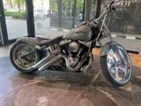 Harley-Davidson Custom bike Softail Slim - HARLEY-DAVIDSON CUSTOM BIKE