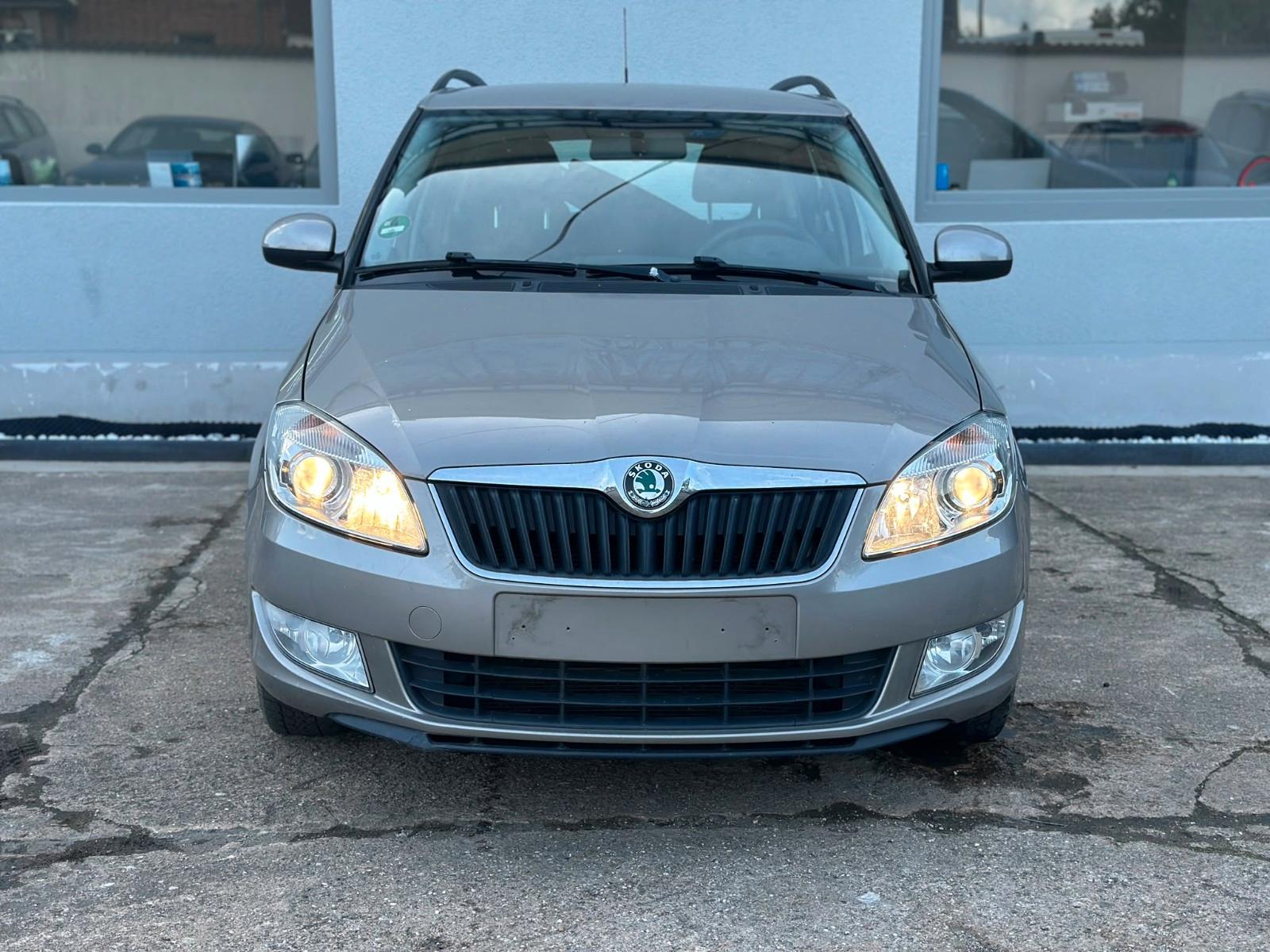 Skoda Fabia 2010 — rear view