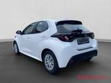 Toyota Yaris 1.5 Hybrid Business Edition - Toyota Yaris Tageszulassungen