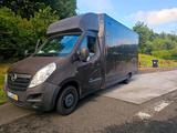 Opel Movano Koffer/Kasten TÜV bis 02/2027 - Opel Movano von privat