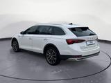 Skoda Octavia Combi 2.0 TDI DSG Scout 4x4 - Skoda Octavia: Weiß