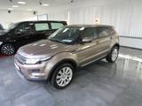 Land Rover Range Rover Evoque 2.2 Sd4 AWD Automatik "Pure" - Land Rover: Beige