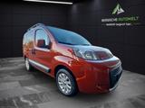 Fiat QUBO TREKKING 1.3 JTD/KLIMA/BT/SSA/SCHIEBETÜREN - Fiat Qubo: 1.3