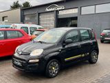 Fiat Panda Young/Klima/Standheizung/AHK/ZV/TÜV 08.25/ - Fiat Panda: Young