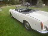 Fiat 1500 Pininfarina Cabrio - Fiat: Cabrio, Pininfarina