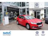 Skoda Fabia 1.0 TSI Selection Smartlink Sitzhzg. RFK