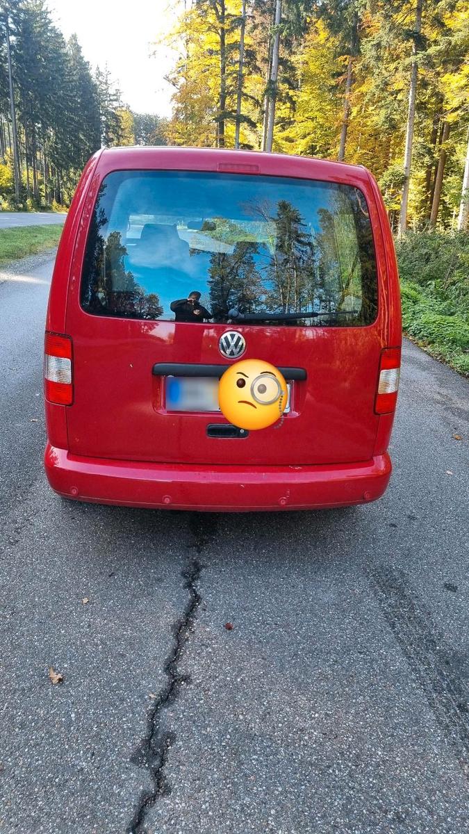 Volkswagen Caddy 2009 — вигляд ззаду