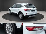 Ford Kuga Plug-In Hybrid Titanium Virtuell Navi RFK - Ford Kuga: Standheizung
