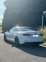 Audi S5 Vollausstattung+Servicegepflegt+Top-Zustand - Audi S5 mit Benzin-Antrieb: Leder, Sportwagen