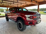 Ford Shelby - Ford F 150: Shelby