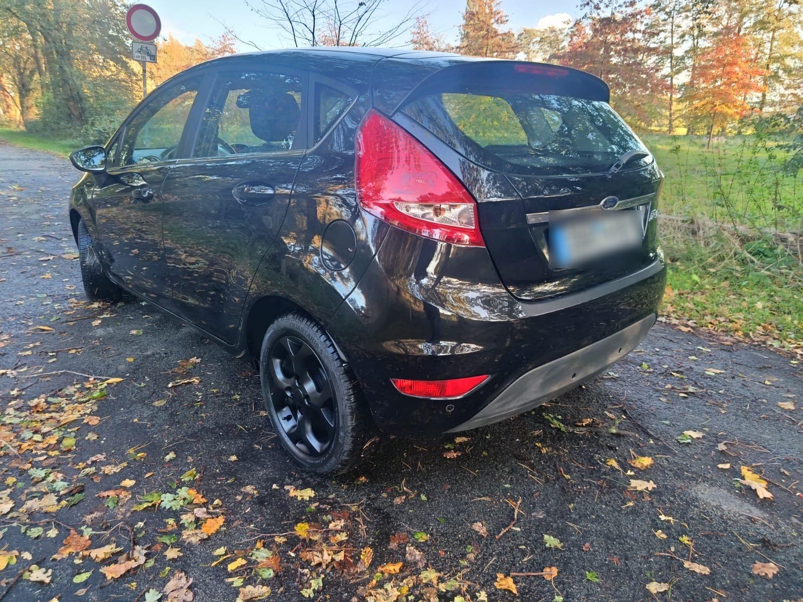 Ford Fiesta 2010 — photo 6